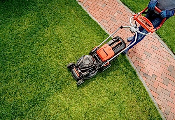 Mantención de Áreas Verdes